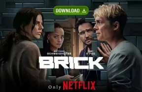 The Brick