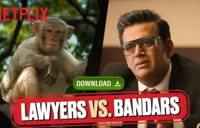 Monkeys ATTACK Lawyers