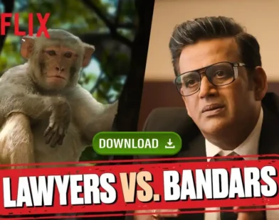 Monkeys ATTACK Lawyers