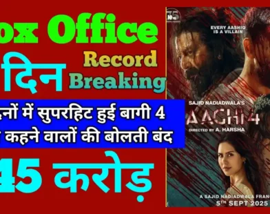 Baaghi 4 Movie Box Office Collection Report