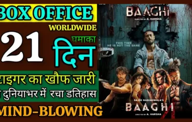 Baaghi 4 Box Office Collection