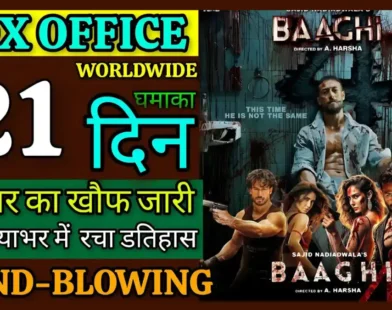 Baaghi 4 Box Office Collection
