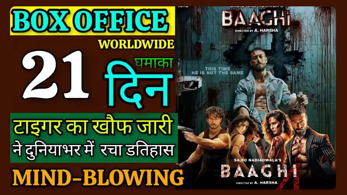 Baaghi 4 Box Office Collection