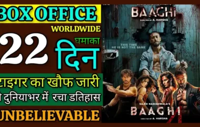 Baaghi 4 22nd Day Box Office Collection
