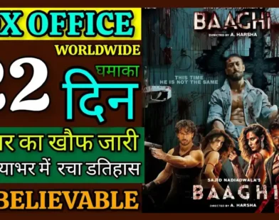 Baaghi 4 22nd Day Box Office Collection