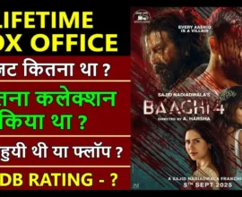 Baaghi 4 Lifetime Worldwide Box Office Collection