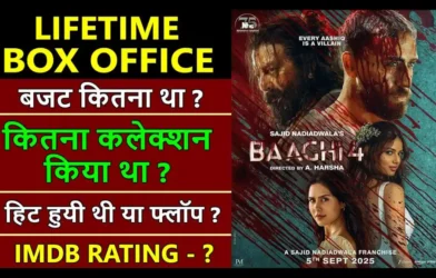 Baaghi 4 Lifetime Worldwide Box Office Collection
