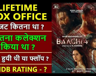 Baaghi 4 Lifetime Worldwide Box Office Collection